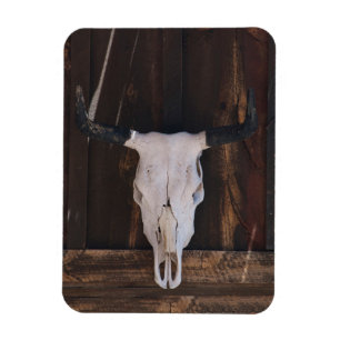 USA, Arizona. Totenkopf an einer Ladenwand Magnet