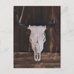 USA, Arizona. Totenkopf an einer Ladenwand Postkarte