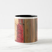 USA, Arizona, Tucson: Historischer Bezirk Presidio Zweifarbige Tasse (Mittel)