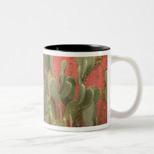 USA, Arizona, Tucson: Historischer Bezirk Presidio Zweifarbige Tasse