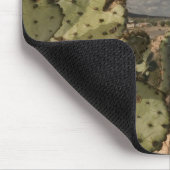 USA, Arizona, Tucson: Mission San Xavier del Bac 2 Mousepad (Ecke)