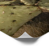 USA, Arizona, Tucson: Mission San Xavier del Bac 2 Poster (Ecke)