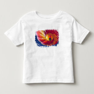 USA, Arizona, Val Vista. Ein farbenfroher Heißluft Kleinkind T-shirt
