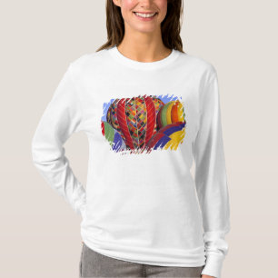 USA, Arizona, Val Vista. Farbige Heißluft T-Shirt
