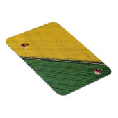 USA, Arizona, Val Vista. Heißluftballons steigen Magnet (Rechte Seite)