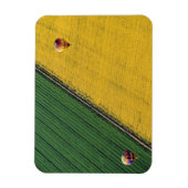 USA, Arizona, Val Vista. Heißluftballons steigen Magnet (Vertikal)