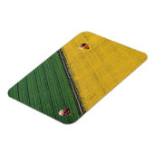 USA, Arizona, Val Vista. Heißluftballons steigen Magnet (Linke Seite)