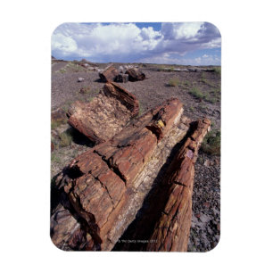 USA, Arizona, Wald-Nationalpark, 2 Magnet