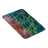 USA, Arizona. Wüste Flora Magnet (Rechte Seite)