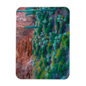 USA, Arizona. Wüste Flora Magnet (Vertikal)