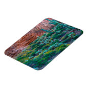 USA, Arizona. Wüste Flora Magnet (Linke Seite)