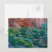 USA, Arizona. Wüste Flora Postkarte (Vorne/Hinten)