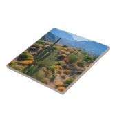 USA, Arizona. Wüstenansicht Fliese (Seite)