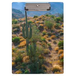 USA, Arizona. Wüstenansicht Klemmbrett
