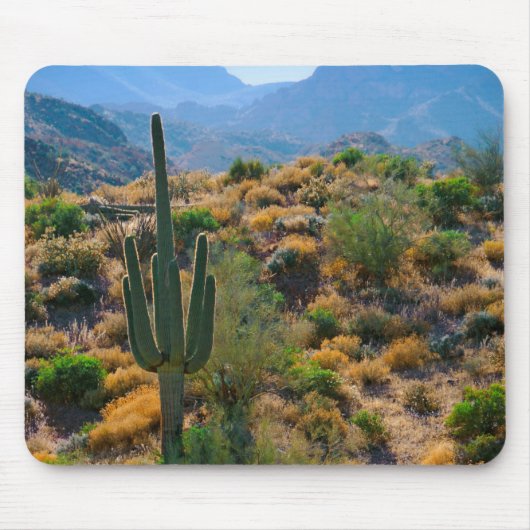 USA, Arizona. Wüstenansicht Mousepad (Vorne)
