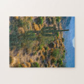 USA, Arizona. Wüstenansicht Puzzle (Horizontal)