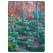 USA, Arizona. Wüstenflora Klemmbrett (Rückseite)