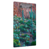 USA, Arizona. Wüstenflora Klemmbrett (Rechts)