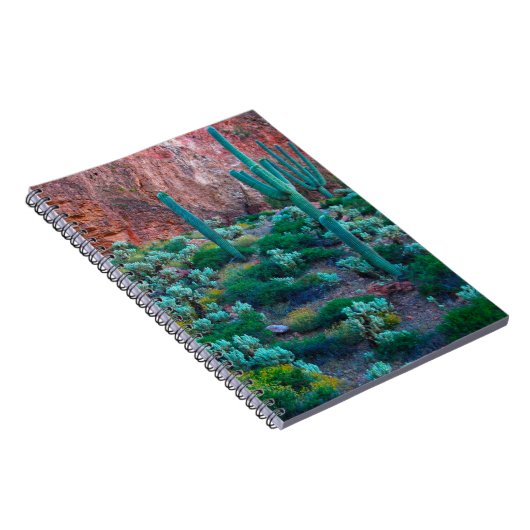 USA, Arizona. Wüstenflora Notizblock (Rechte Seite)