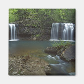 USA, Arkansas, Ozark- St Francis National Magnet (Vorne)