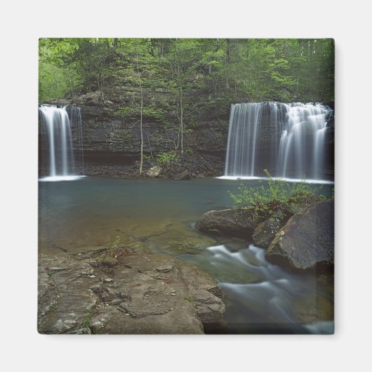 USA, Arkansas, Ozark- St Francis National Magnet (Vorne)