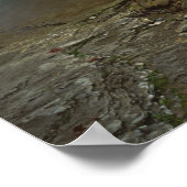 USA, Arkansas, Ozark- St Francis National Poster (Ecke)