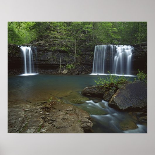 USA, Arkansas, Ozark- St Francis National Poster (Vorne)