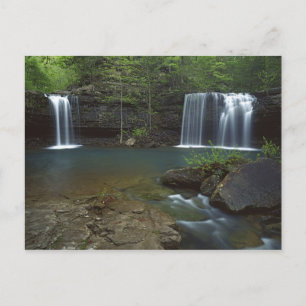 USA, Arkansas, Ozark- St Francis National Postkarte