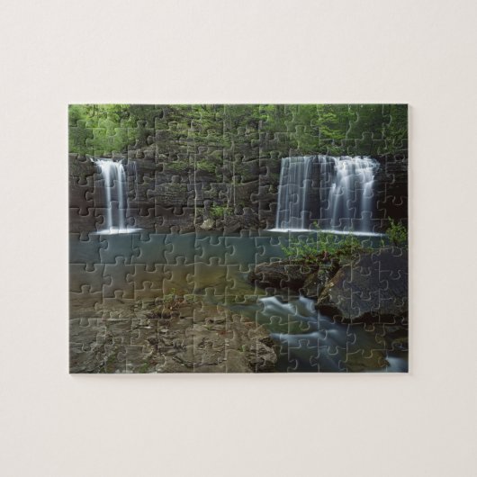 USA, Arkansas, Ozark- St Francis National Puzzle (Horizontal)