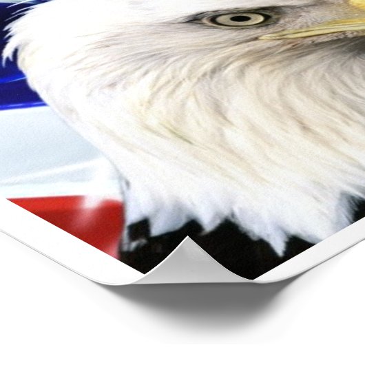 USA Bald Eagle Flag Poster (Ecke)