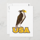 USA Bold Eagle Postkarte (Vorne/Hinten)