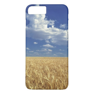 USA, Bundesstaat Washington, Colfax. Reifer Weizen Case-Mate iPhone Hülle