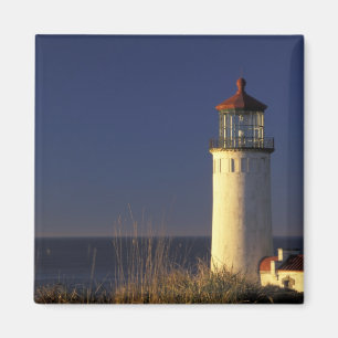 USA, Bundesstaat Washington, Fort Canby State Park Magnet