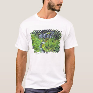 USA, Bundesstaat Washington, Mt Adams Wilderness. T-Shirt