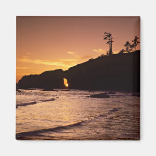 USA, Bundesstaat Washington, Olympic National Park Magnet