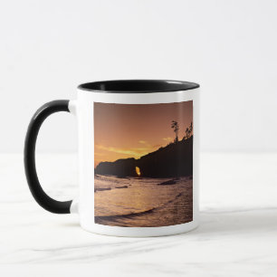 USA, Bundesstaat Washington, Olympic-Nationalpark. Tasse