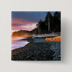 USA, Bundesstaat Washington, Olympic NP. Wellen um Button