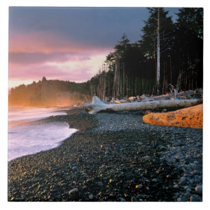 USA, Bundesstaat Washington, Olympic NP. Wellen um Fliese