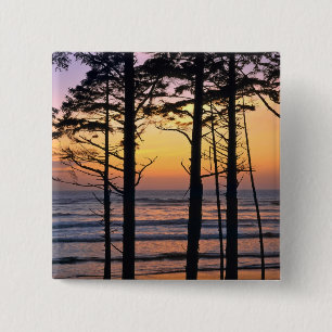 USA, Bundesstaat Washington, Olympic NP. Zart Button