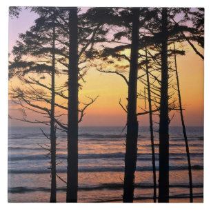 USA, Bundesstaat Washington, Olympic NP. Zart Fliese