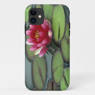 USA, Bundesstaat Washington, Seattle. Seerose und Case-Mate iPhone Hülle
