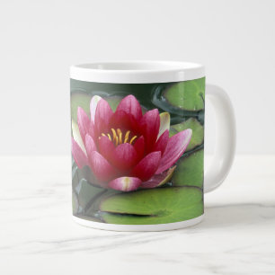 USA, Bundesstaat Washington, Seattle. Seerose und Jumbo-Tasse