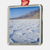 USA, CA, Death Valley NP, Salzformationen Silbernes Ornament (Links)