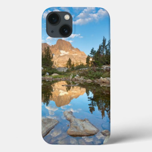 USA, California, Inyo National Forest. 2 Case-Mate iPhone Hülle (Rückseite)