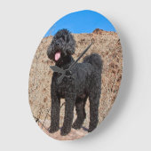 USA, California. Labradoodle Standing Große Wanduhr (Winkel)