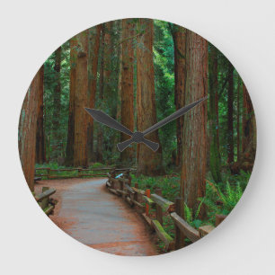USA, California. Path Among Redwoods In Muir Große Wanduhr