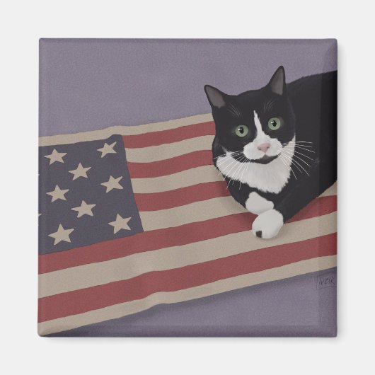 USA Cat Magnet (Vorne)