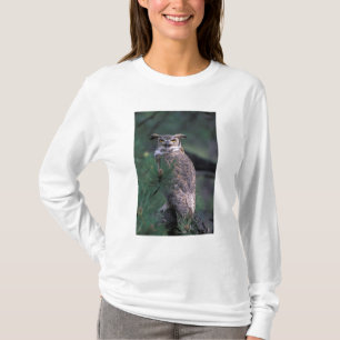 USA, CO, Colorado Springs. Große Hornschale T-Shirt