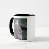 USA, CO, Colorado Springs. Große Hornschale Tasse (Vorderseite Links)