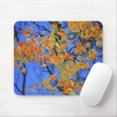 USA, Colorado. Aspen-Blätter, die Mousepad (Mit Mouse)